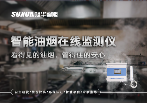 智能油烟在线监测仪：看得见的油烟，管得住的安心